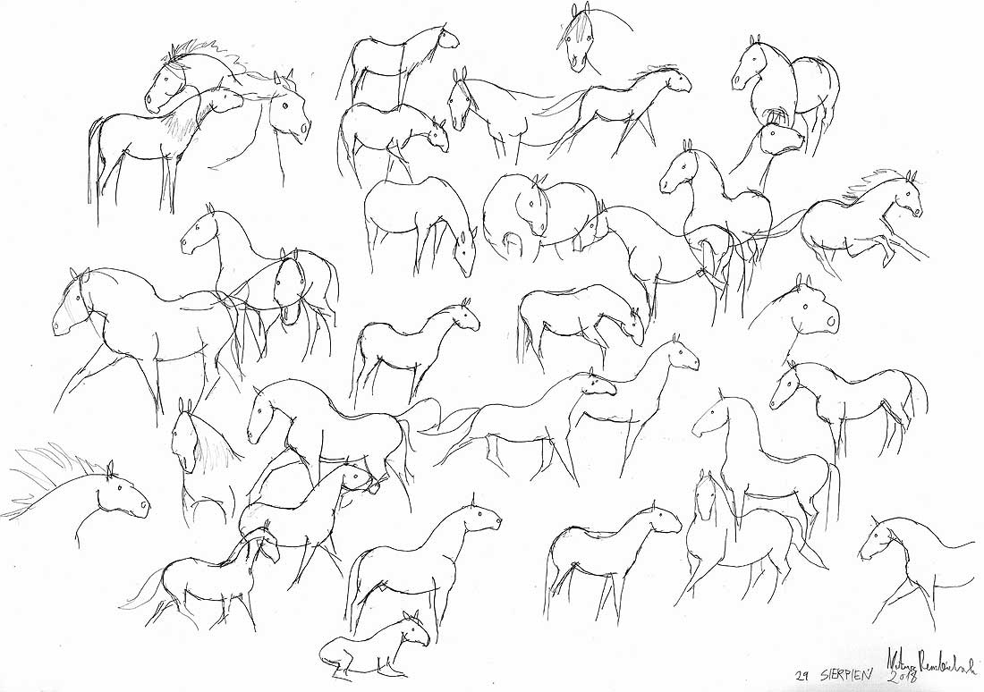 konie szkice 3