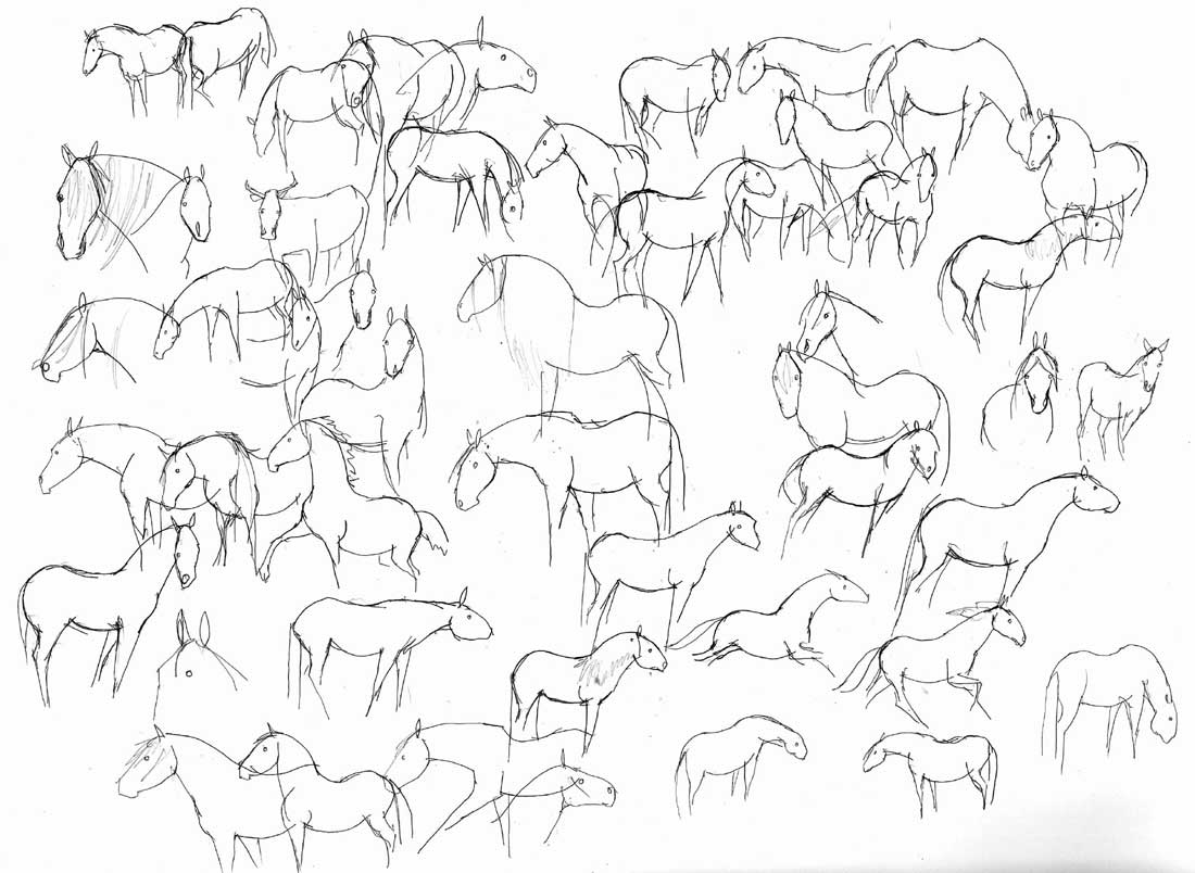 konie szkice 4
